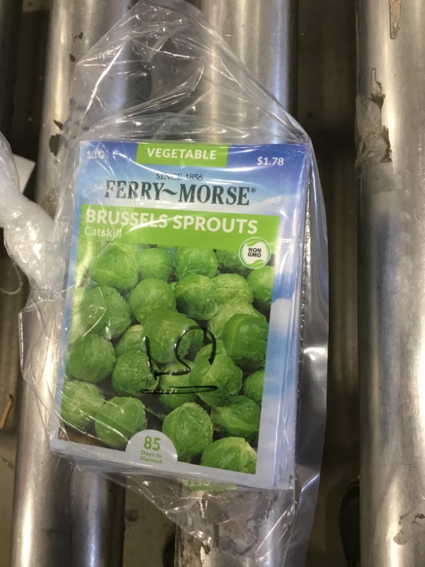 Photo 2 of 15 PACK, NO RETURNS NONREFUDABLE
Ferry-Morse
Brussels Sprouts Catskill Seed
