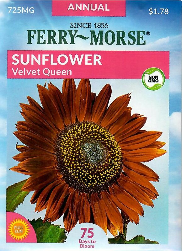 Photo 1 of 15 PACK, NO RETURNS NONREFUDABLE
Sunflower Velvet Queen NON-GMO Flower Seeds - Ferry Morse 725mg 12/22
