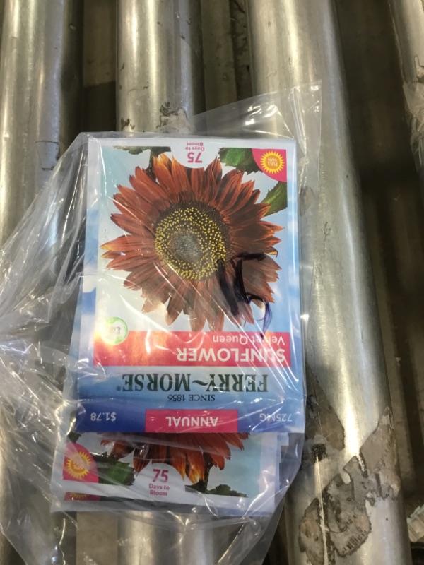 Photo 2 of 15 PACK, NO RETURNS NONREFUDABLE
Sunflower Velvet Queen NON-GMO Flower Seeds - Ferry Morse 725mg 12/22
