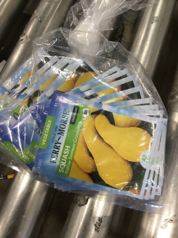 Photo 1 of 15 PACK, NO RETURNS NONREFUDABLE
Ferry-Morse
Squash Yellow Summer Crookneck Seed