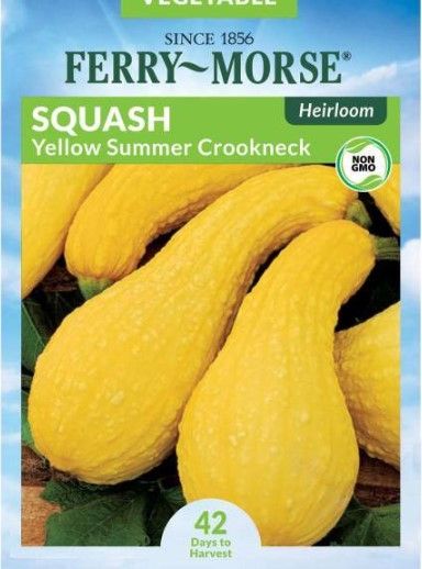 Photo 1 of 15 PACK, NO RETURNS NONREFUDABLE
Ferry-Morse
Squash Yellow Summer Crookneck Seed