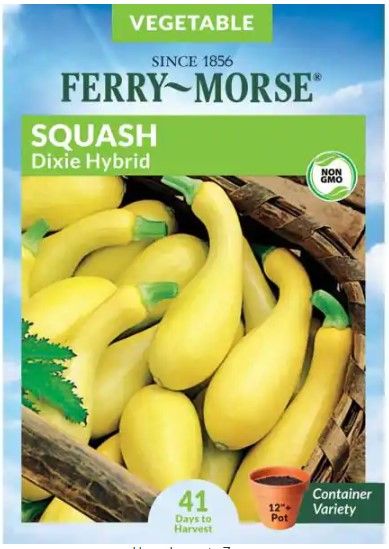 Photo 1 of 15 PACK, NO RETURNS NONREFUDABLE
Ferry-Morse
Squash Dixie Hybrid Seed