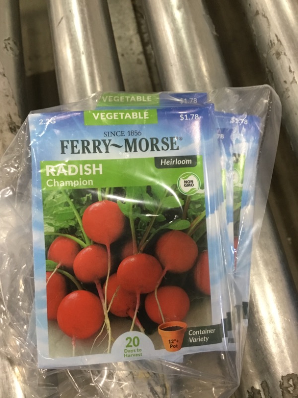 Photo 2 of 15 PACK, NO RETURNS NONREFUDABLE
Ferry-Morse
Radish Champion Vegetable Seed