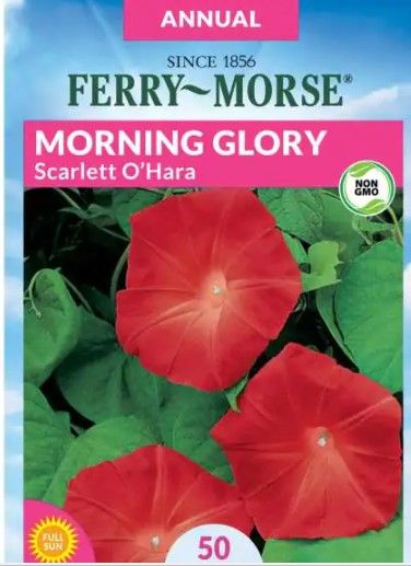 Photo 1 of 15 PACK, NO RETURNS NONREFUDABLE
Ferry-Morse
Morning Glory Scarlet O'Hara Seed