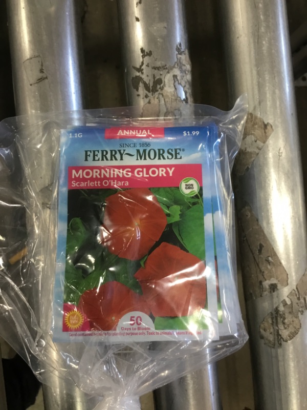 Photo 2 of 15 PACK, NO RETURNS NONREFUDABLE
Ferry-Morse
Morning Glory Scarlet O'Hara Seed