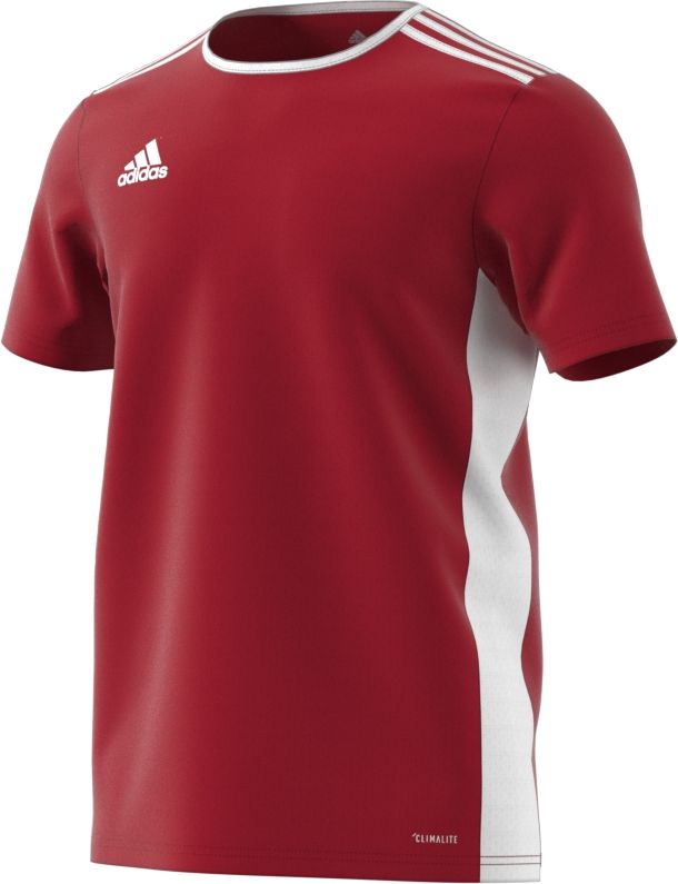 Photo 1 of Adidas ENTRADA 18 JERSEY size S