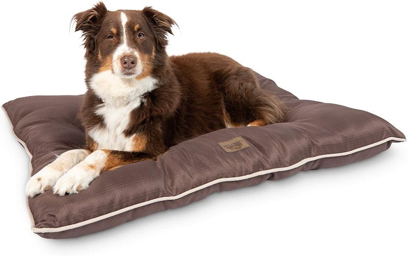 Photo 1 of **DAMAGED**
Pet Craft Supply Super Snoozer Durable Rugged Indoor / Outdoor All Season Water Resistant Dog Bed Medium Dog Bed Large Dog Dog Bed
