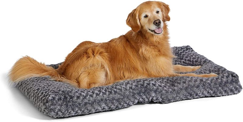 Photo 1 of 46" X 29" grey flat dog bed