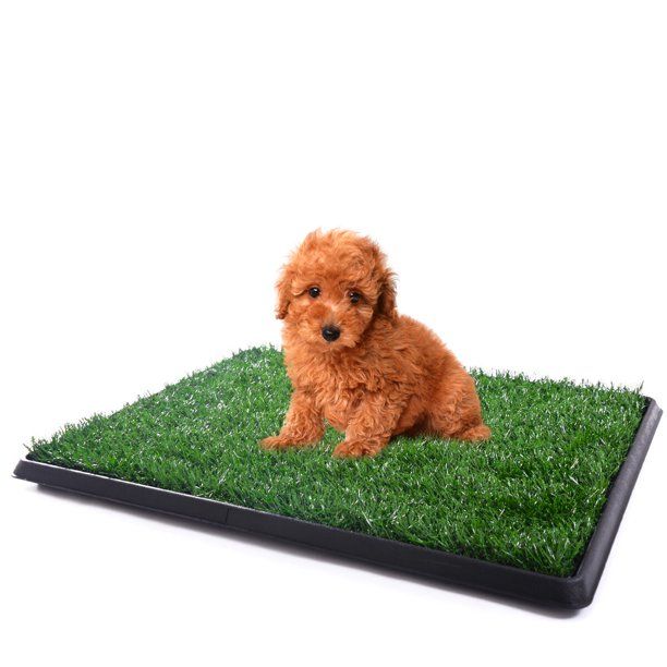 Photo 1 of (CRACKED CORNERS) 25" x 20" fake grass dog pad