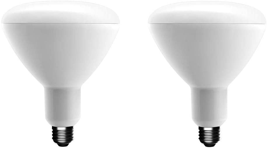 Photo 1 of EcoSmart 75-Watt Equivalent BR30 Dimmable Energy Star LED Light Bulb Soft White (4 Bulbs)
