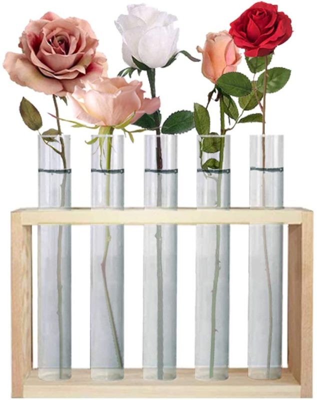 Photo 1 of Banord Desktop Glass Terrarium, Wall Hanging Glass Planter with 5 Modern Test Tubes in Wood Stand, Tabletop Tube Container for Home Office Decoration, Natural
PACK OF 2 