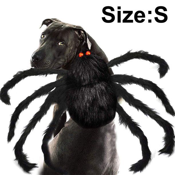 Photo 1 of ***stock photo for reference only***
Pet Costume Spider Halloween Pet Cosplay Dog Cat size small
