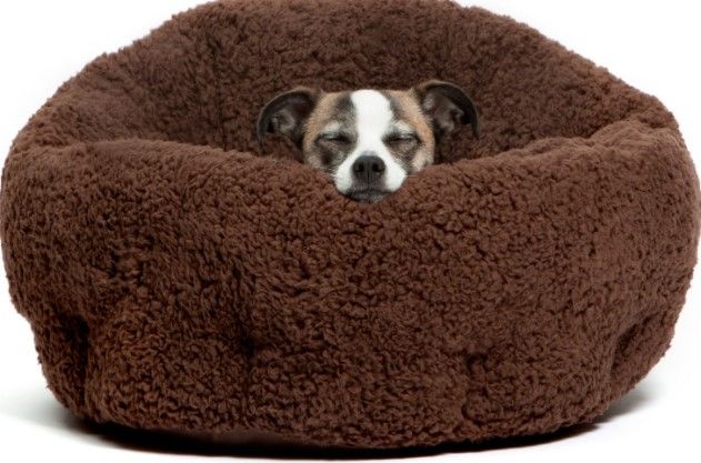 Photo 1 of *USED*
Best Friends By Sheri Sherpa Deep Dish Bolster Cat & Dog Bed, Brown, Standard
