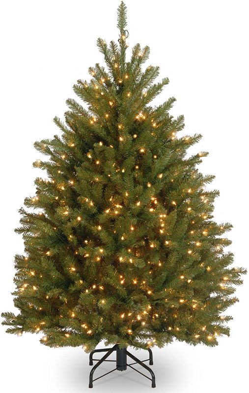 Photo 1 of National Tree Company Pre-Lit Artificial Mini Christmas Tree, Green, Dunhill Fir, White Lights, Includes Stand, 4 Feet