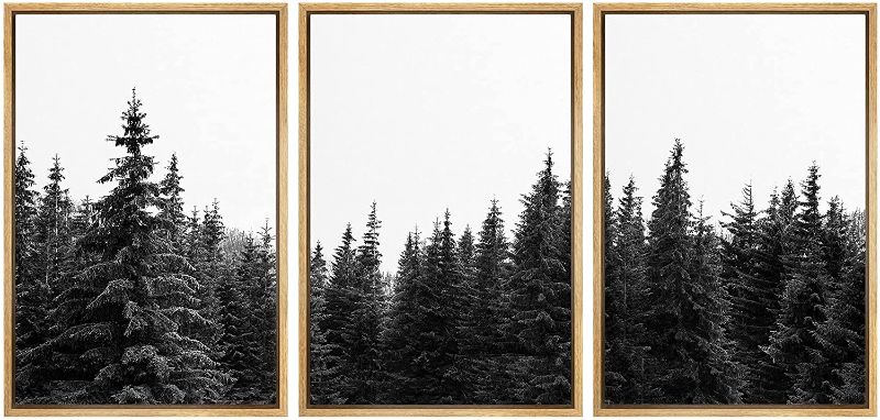 Photo 1 of SIGNWIN 3 Piece Framed Canvas Wall Art Black and White Forest Photo Nature Wilderness Illustrations Abstract Traditional Relax/Calm Home Artwork Decoration for Living Room,Bedroom - 16"x24"x3 Panels