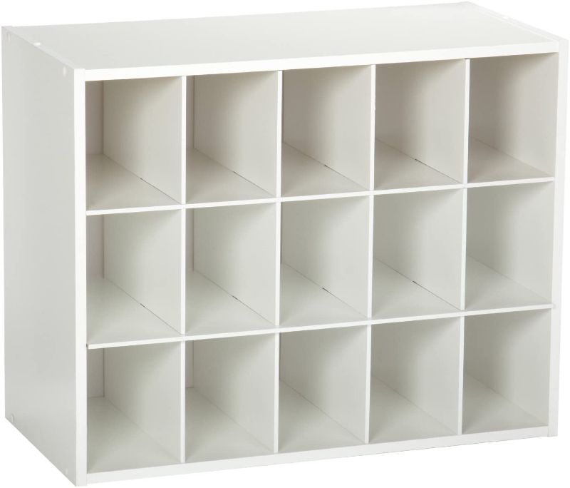 Photo 1 of 19 in. H x 24 in. W x 12 in. D White Wood Look 15-Cube Storage Organizer