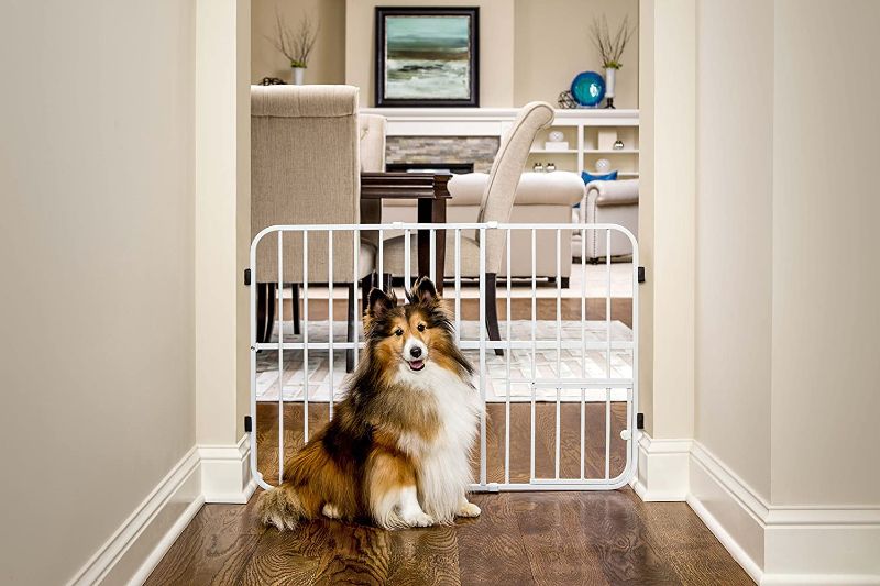 Photo 1 of Carlson Pet Products Tuffy Metal Expandable Pet Gate, Includes Small Pet Door, 24 x 26-42 Inch, Beige, White