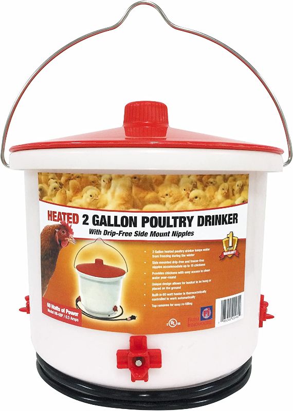 Photo 1 of Farm Innovators HB-60P Heated 2 Gallon Poultry Drinker