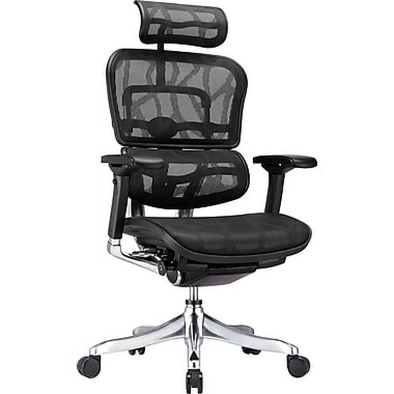 Photo 1 of  Raynor Elite Executive Mesh Chair