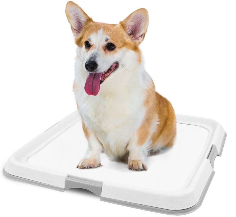 Photo 1 of 24" x 24" Pet Pee Pad Holder Dog Training Pad Holder Tray Puppy Training Pad Holder X Large - 60 x 60 cm
