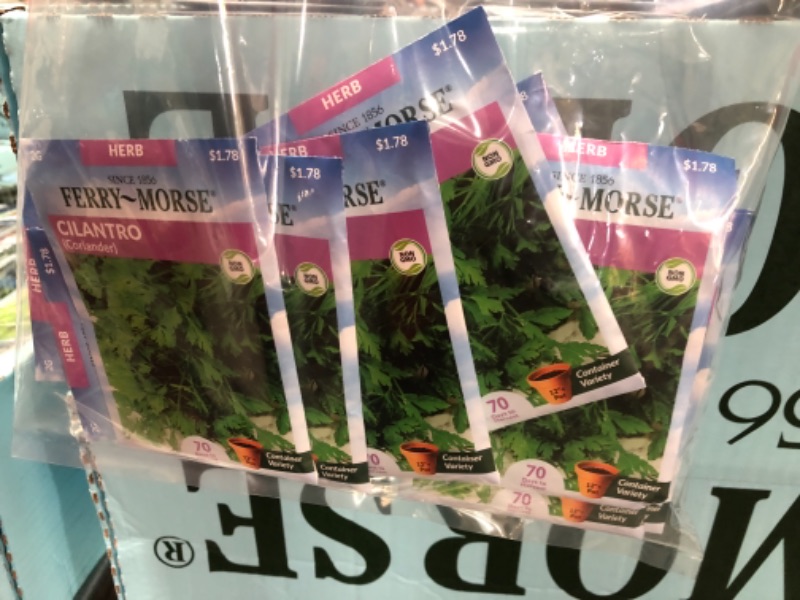 Photo 1 of 15 PACK: Ferry-Morse
Cilantro Seeds