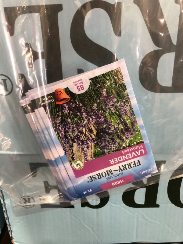 Photo 1 of 15 PACK: Ferry-Morse
Lavender Munstead Seed