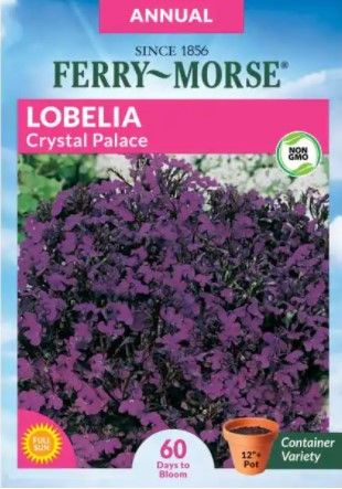 Photo 1 of 13 PACKS: Ferry-Morse
Lobelia Crystal Palace Seed Best by 12/22