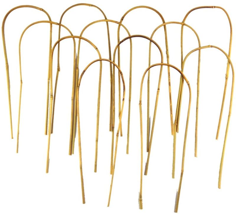 Photo 1 of 16 in. Bamboo U Trellis Stakes PACK OF 5 