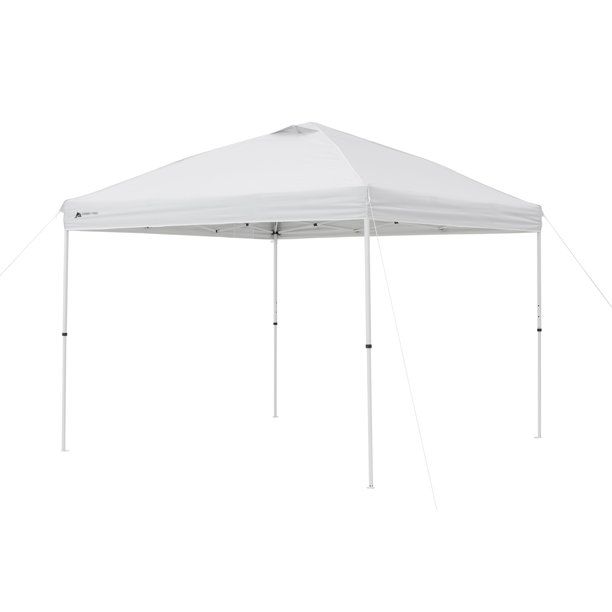 Photo 1 of 10 ft x 10 ft straight leg canopy