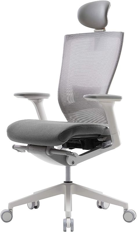 Photo 1 of SIDIZ T50 Home Office Desk Chair : Ergonomic Office Chair, Adjustable Headrest, 2-Way Lumbar Support, 3-Way Armrests, Forward Tilt Adjustment, Adjustable Seat Depth, Ventilated Mesh Back