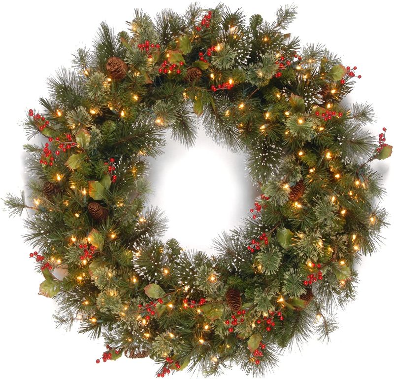 Photo 1 of National Tree Company Pre-Lit Artificial Christmas Wreath, Green, Wintry Pine, White Lights, Decorated with Pine Cones, Berry Clusters, Frosted Branches, Christmas Collection, 48 Inches