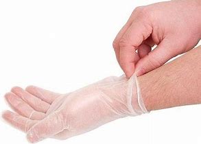 Photo 1 of 3pck-Large Disposable Vinyl Gloves (100-Count)