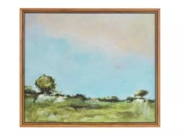 Photo 1 of Across The Plains Framed Gel Coated Canvas - Martha Stewart
