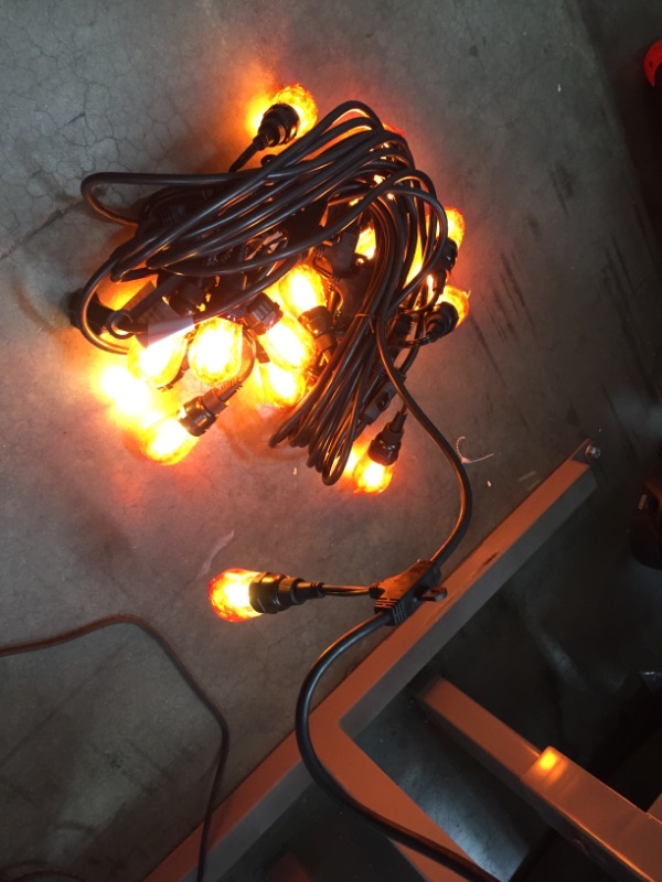 Photo 4 of **INCOMPLETE**
Vintage Seasons Outdoor/Indoor 48 ft. Plug-In Edison-Shaped Bulb LED String Light
