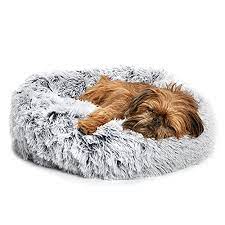Photo 1 of BarkBox Dog Bed, 2-in-1 Memory Foam Donut Cuddler Dog and Cat Bed, Calming Orthopedic Joint Relief Fur