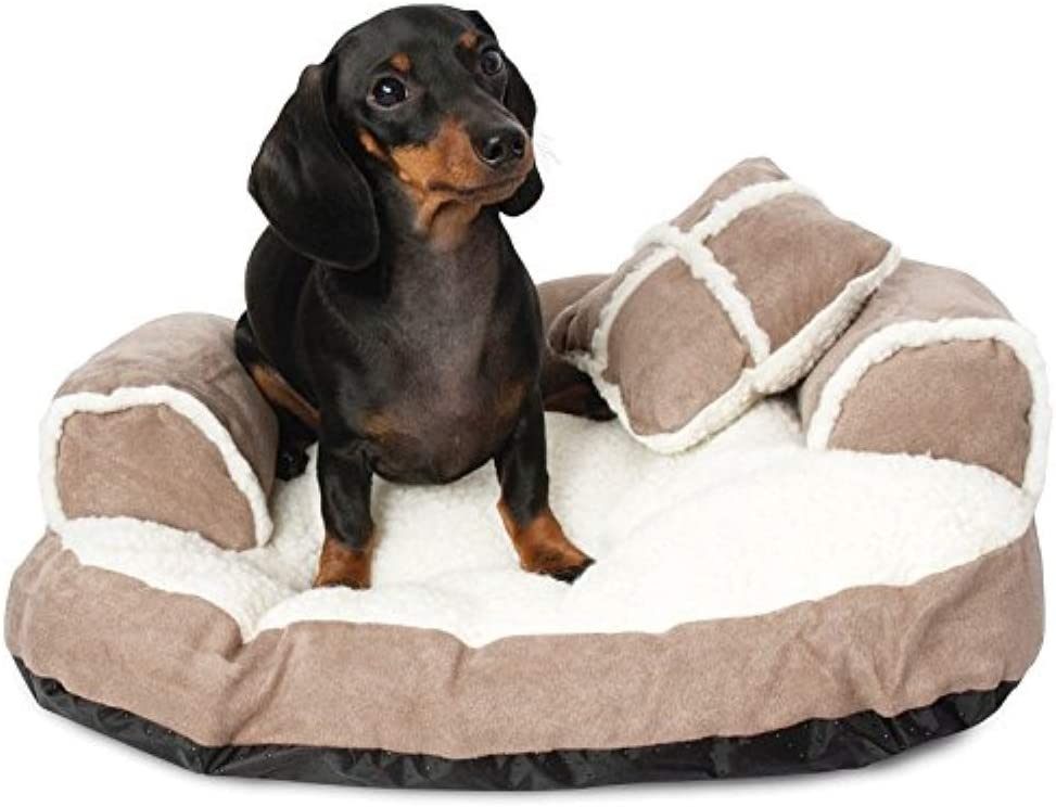 Photo 1 of ***DIFFERENT COLOR*** Petmate Aspen Pet Sofa Bed with Pillow for Comfort and Support - One Size