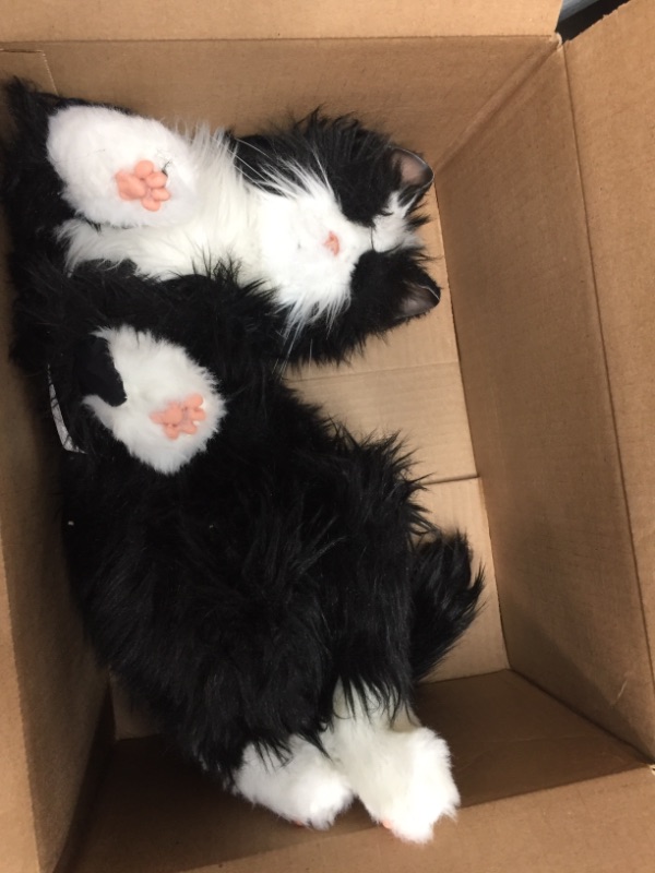 Photo 1 of Cat Toy
