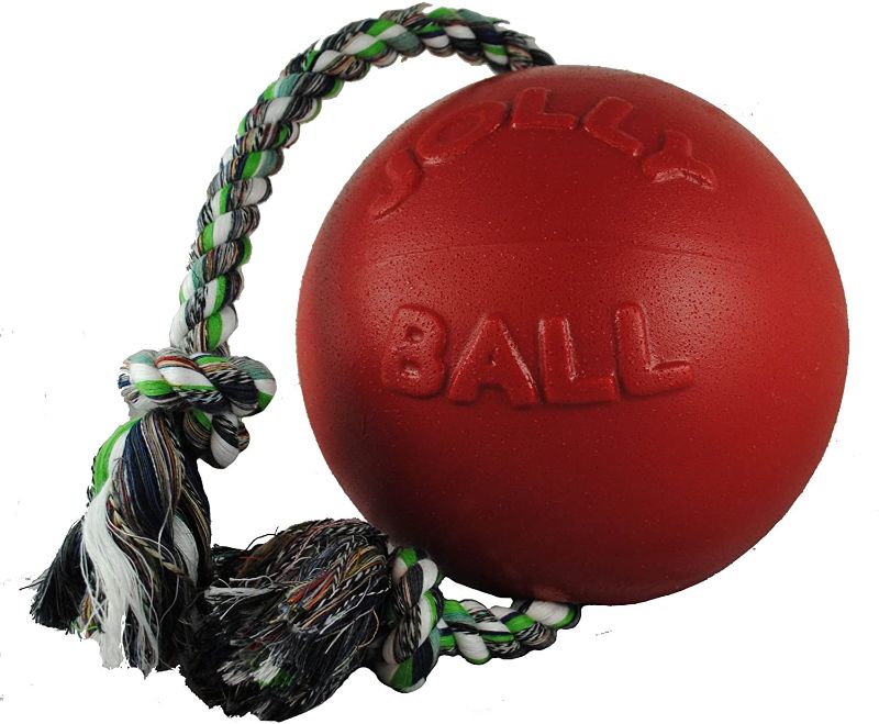 Photo 1 of *USED*
*MISSING rope*
Jolly Pets Romp-n-Roll Rope and Ball Dog Toy, 8 inches
