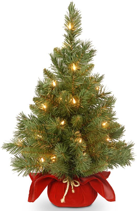 Photo 1 of *SEE last picture for damage*
National Tree Company Pre-lit Artificial Mini Christmas Tree | Includes Small Lights and Cloth Bag Base | Majestic Fir - 2 ft
