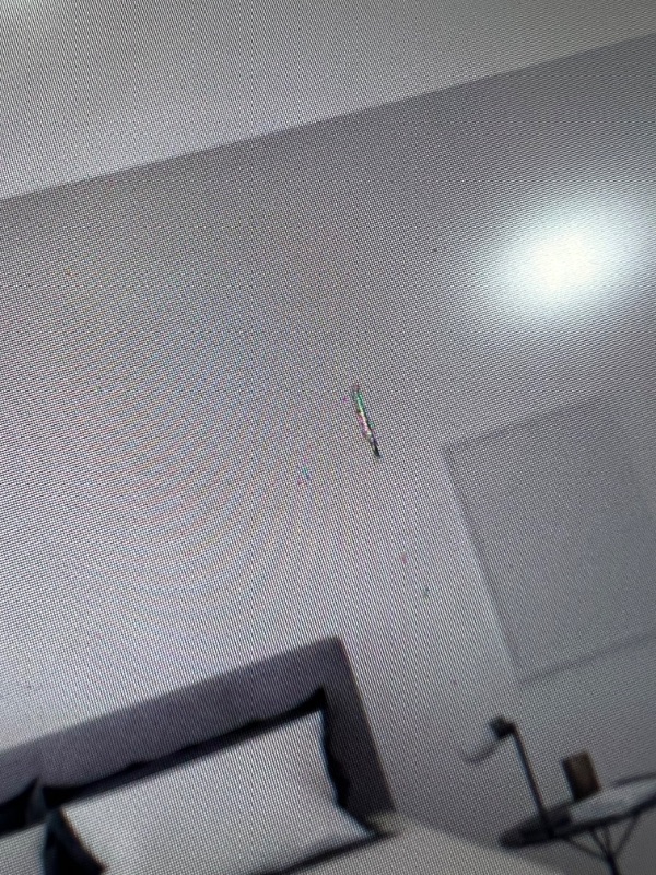 Photo 1 of 2 LINES ON THE RIGHT SIDE**SAMSUNG 49-INCH ODYSSEY G9 GAMING MONITOR | QHD, 240HZ, 1000R CURVED, QLED, NVIDIA G-SYNC & FREESYNC | LC49G95TSSNXZA MODEL
