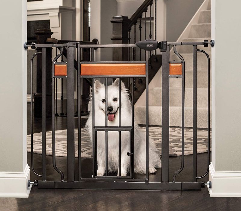 Photo 1 of Carlson Home Design Extra Wide Walk Thru Pet Gate with Small Pet Door, Includes Décor Hardwood, 4-Inch Extension Kit, Pressure Mount Kit and Wall Mount Kit