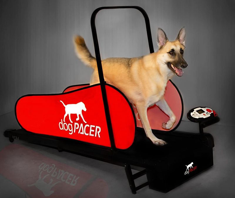 Photo 1 of **DAMAGED**
dogPACER 91641 LF 3.1 Full Size Dog Pacer Treadmill, Black and Red

