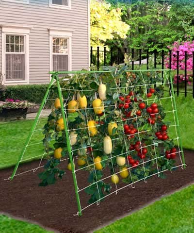 Photo 1 of 
BestNest Gardeneer Vertical Trellis Kits, Green, 45.25" H, Pack of 6