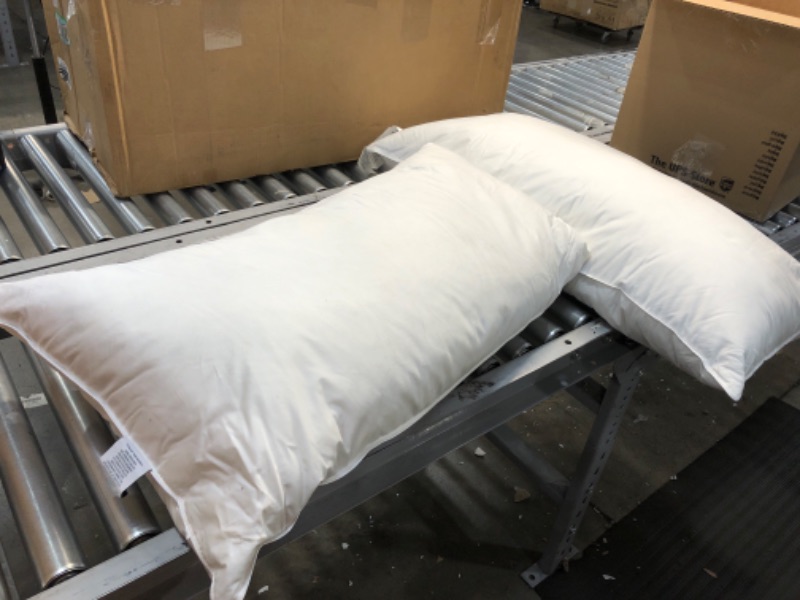 Photo 2 of 20" x 36"- PACK OF 2- HARBOREST Bed Pillows