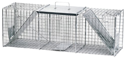 Photo 1 of Havahart 1045 Live Animal Two-Door Raccoon, Stray Cat, Opossum, and Groundhog Cage Trap
