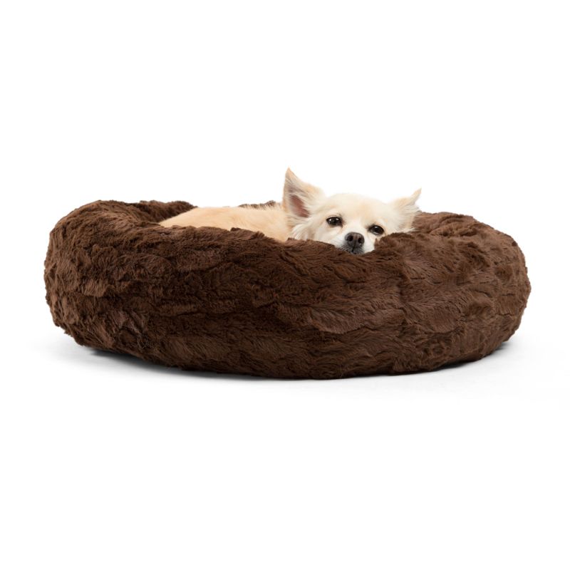 Photo 1 of (VERY DIRTY/HAIRY) best friends by sherri brown dog bed, pack of 2