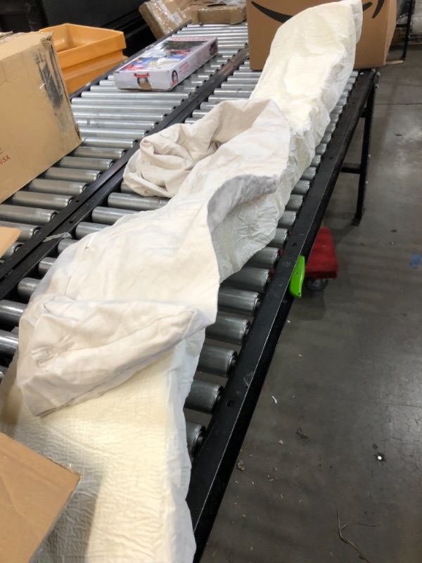 Photo 1 of 65" long foam pillow