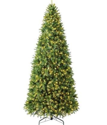 Photo 1 of 12 ft Wesley Long Needle Pine LED Pre-Lit Artificial Christmas Tree with 1100 SureBright Warm White Mini Lights
