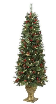 Photo 1 of Home Accents Holiday
6.5 ft. Paces Hill Pine Potted Pre-Lit Artificial Christmas Tree with 200 Incandescent Clear Lights