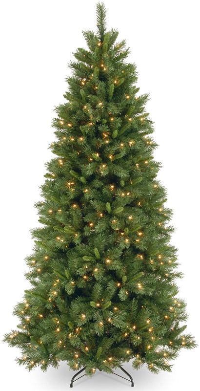 Photo 1 of National Tree Company Pre-lit Artificial Christmas Tree | Includes Pre-strung Multi-Color LED Lights and Stand | Lehigh Valley Pine Slim - 7.5 ft
